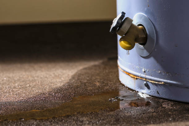 Best Water damage cleanup near me  in Huntgburg, IN