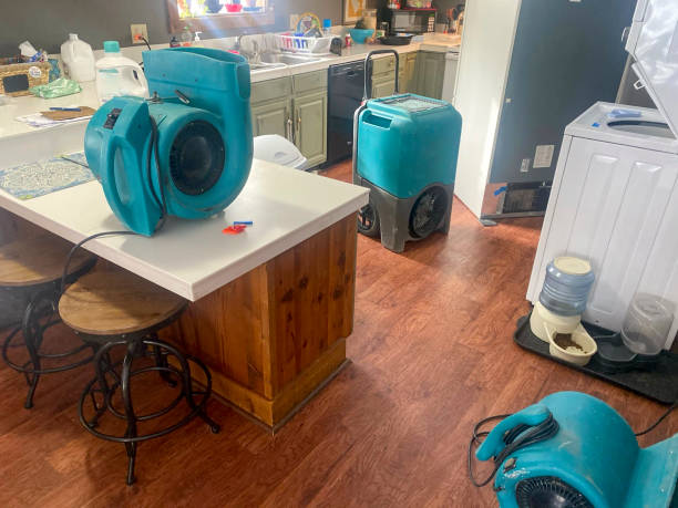 Best Mold removal after water damage  in Huntgburg, IN