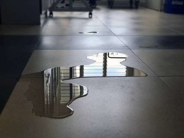 Best Commercial water damage restoration  in Huntgburg, IN