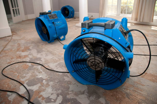 Best Flood restoration services  in Huntgburg, IN