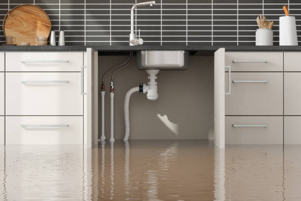 Reliable Huntingburg, IN Water damage restoration Solutions