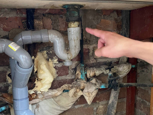 Best Water damage restoration near me  in Huntgburg, IN