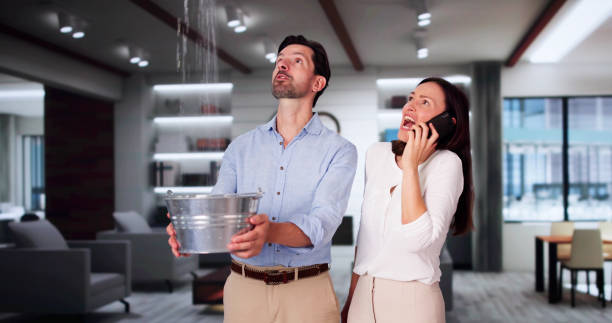 Best Water damage restoration process  in Huntgburg, IN